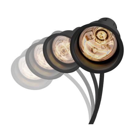 Lampe chauffante IWL250ST S - 2