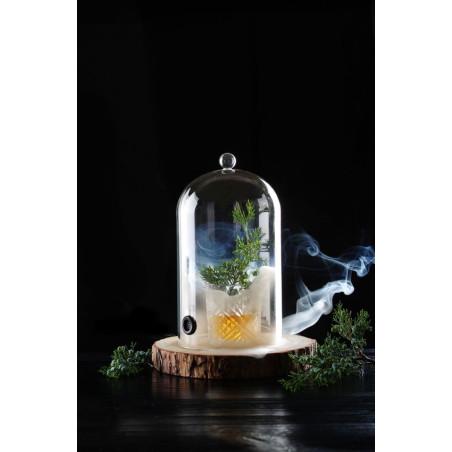 Glass dome with vent - 2