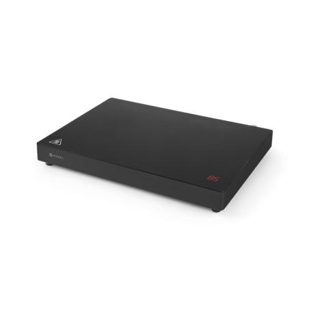 Induction hot plate - 2