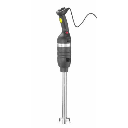 Mixeur plongeur 500 - 2