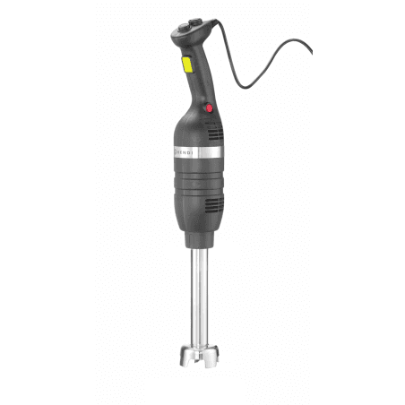 Mixeur plongeur 350